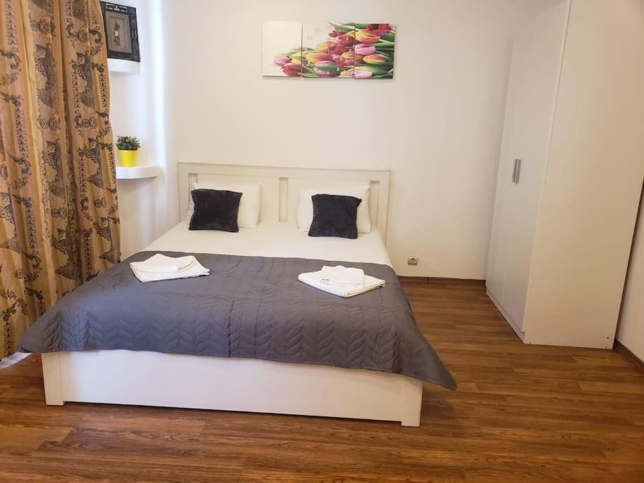 Studio Sforii In Brasov Ris Accommodation Exterior foto